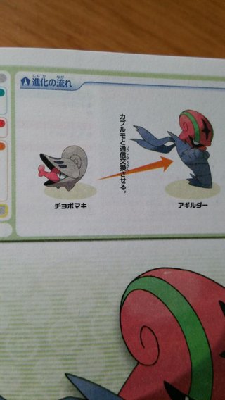 【３DS】ポケモンX・Y【雑談】