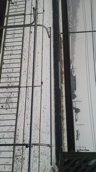 気を付けて！関東平野部積雪の恐れ