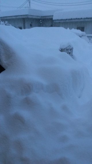 群馬県【総合】