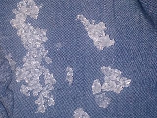 埼玉県【総合】