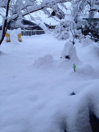 群馬県【総合】