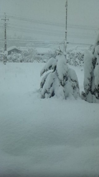 群馬県【総合】