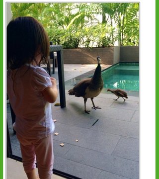 神田うの(36) 妊娠！