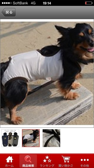 飼い犬、去勢手術しました。