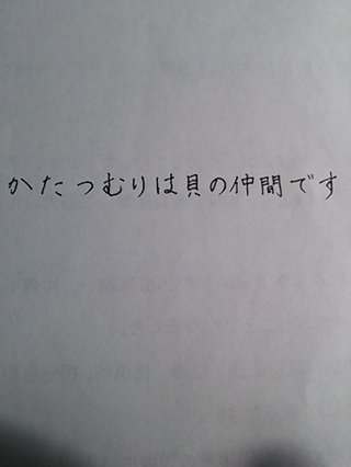みんな字見せて