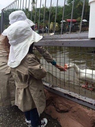 神田うの(36) 妊娠！