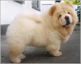 鉄パイプ リンチ 女性三人逮捕