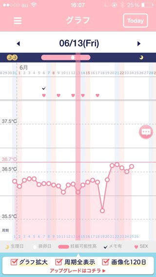 基礎体温 グラフ