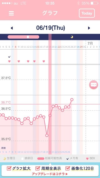 基礎体温 グラフ