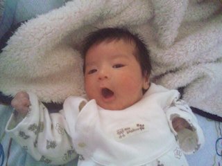 赤ちゃんがみたい