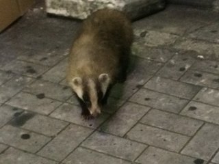 思わず二度見した物（人）ある？