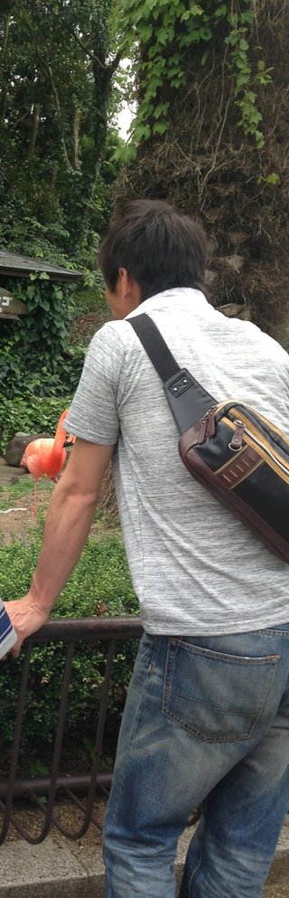 全般から移動！あなたの旦那様の後ろ姿、晒、し大会☆