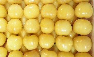 渡辺美奈代のブログ