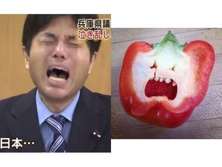 兵庫県議、日帰り出張が年１９５回　３００万円支出