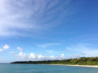 【総合】沖縄【作ったさ～】