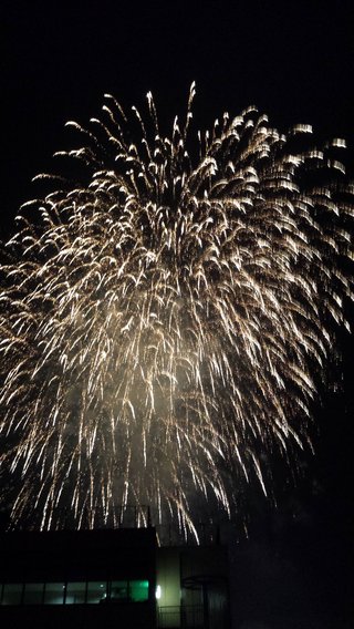 【福岡】【総合】