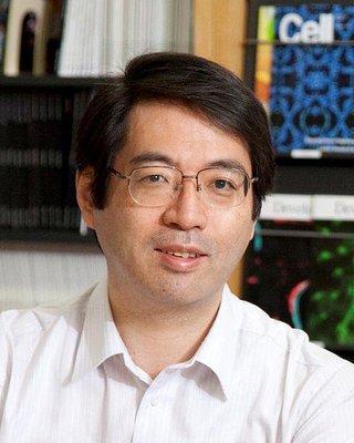 理研 笹井副センター長 死亡