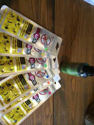 デング熱媒介する蚊  日本上陸か？