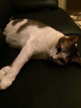 心気症の方(不安神経症、パニックも)話しましょう