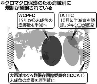 日本のクロマグロ漁半減案、抵抗韓国を押し切る 