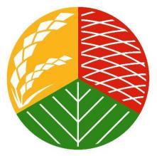 健康な食事のマーク決まる､厚労省
