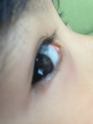 お目目くりんくりんで睫毛くるんくるんなお子様