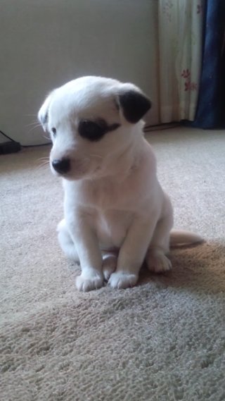 群馬県【総合】