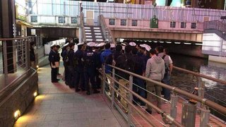 道頓堀に阪神ファン