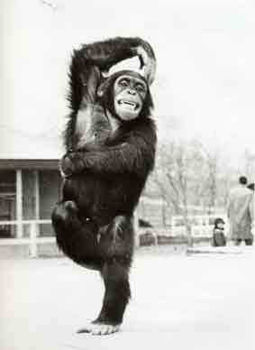 渡辺美奈代のブログ