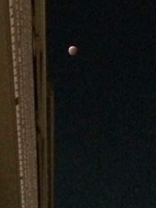 皆既月食【10月8日】