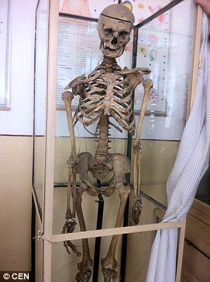 学校の骨格模型、校長先生の骨だった…ルーマニア