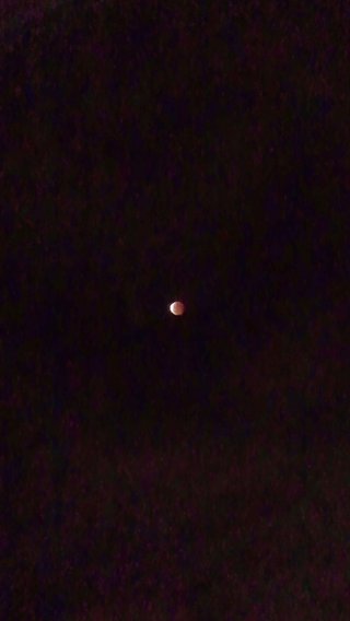 皆既月食【10月8日】