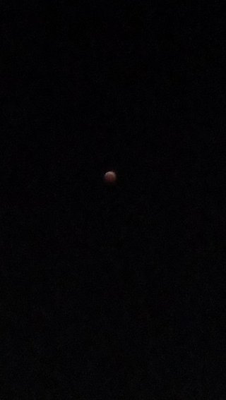 皆既月食【10月8日】