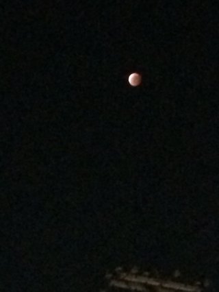 皆既月食【10月8日】