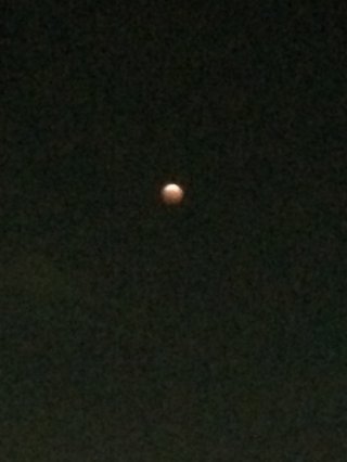 皆既月食【10月8日】