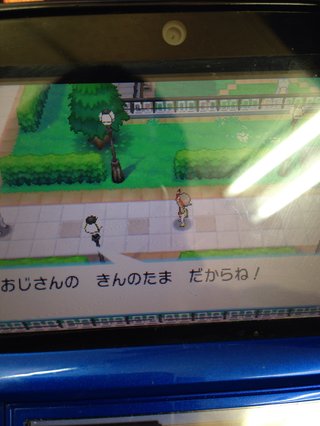 3DS★ポケモン【オメガルビー／アルファサファイア】