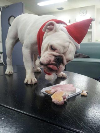 綾瀬はるか「きょうは会社休みます。」日テレ水１０