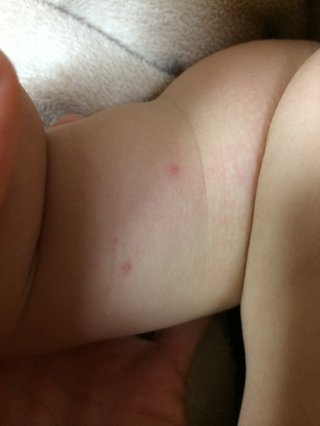 これなにかな？