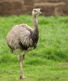 えみゆって名前