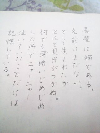 みんな字見せて