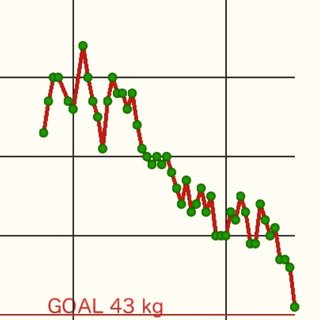 書き捨て！自己満！報告所