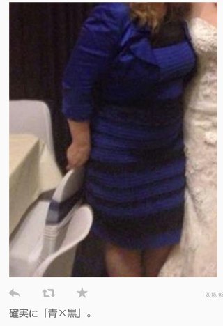 何色? 1枚の写真でネット激論