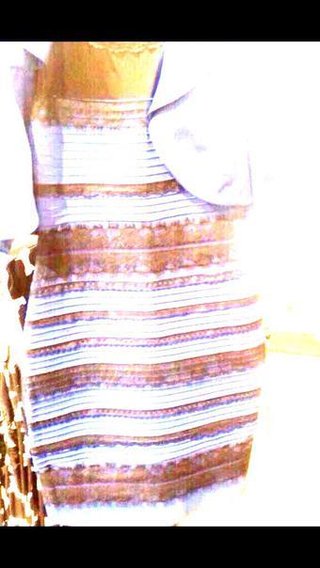 何色? 1枚の写真でネット激論