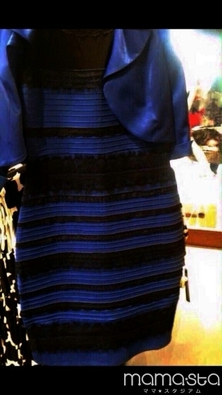 何色? 1枚の写真でネット激論