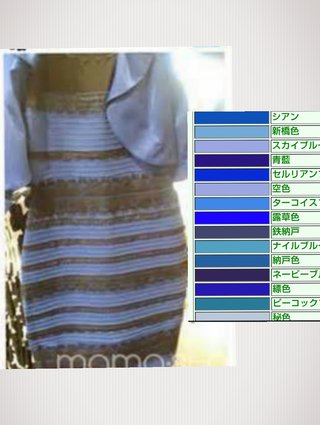 何色? 1枚の写真でネット激論