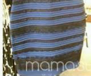 何色? 1枚の写真でネット激論