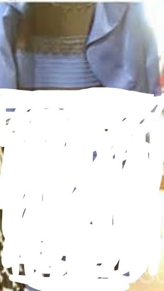 何色? 1枚の写真でネット激論