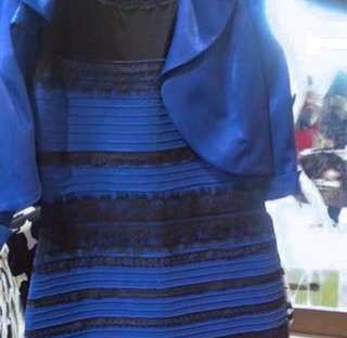 何色? 1枚の写真でネット激論