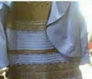 何色? 1枚の写真でネット激論