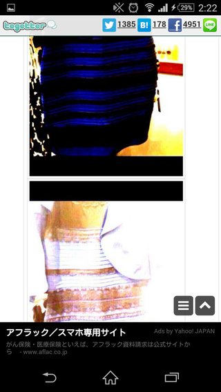 何色? 1枚の写真でネット激論